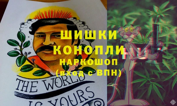 прущие крисы Аркадак