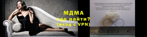 гидра Арсеньев