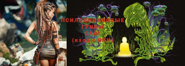 прущие крисы Аркадак
