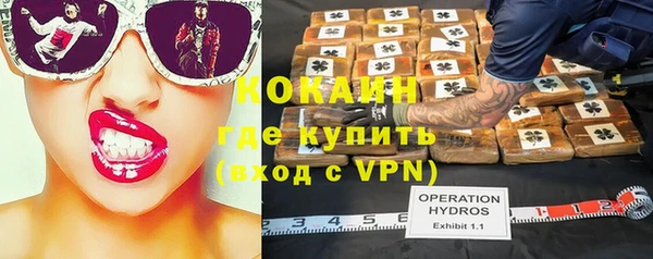 дживик Ступино