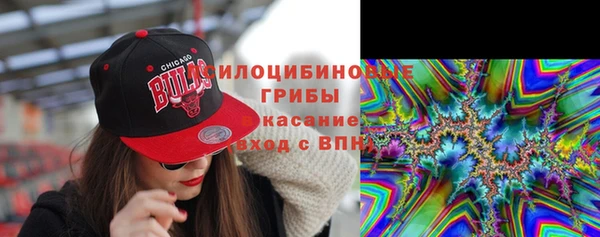 прущие крисы Аркадак