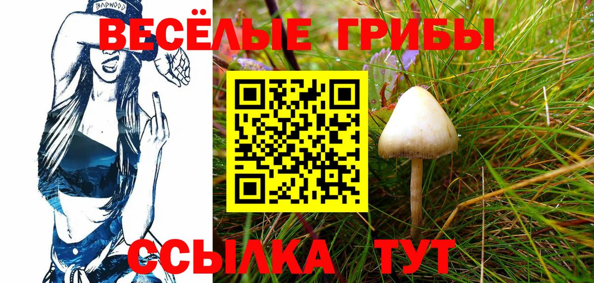 купить   Галлюциногенные грибы мицелий  Вход с VPN  Балтийск 